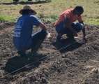 Quand jardinage rime avec partage