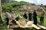 Troc plantes et graines