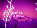 L'année 2015 en images